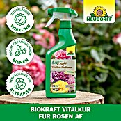 Neudorff BioKraft Vitalkur AF für Rosen (500 ml)