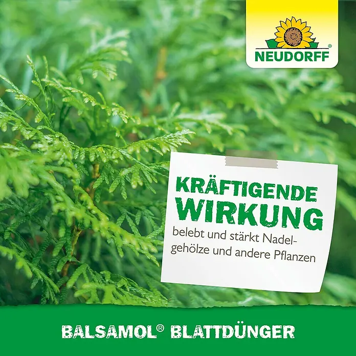 Neudorff Grünpflanzendünger Balsamol Blattdünger - 250 ml - Neudorff Balsamol Blattdünger Text auf weißem Papier: 'Kräftige Wirkung: belebt & stärkt Nadelgehölze & andere Pflanzen'.