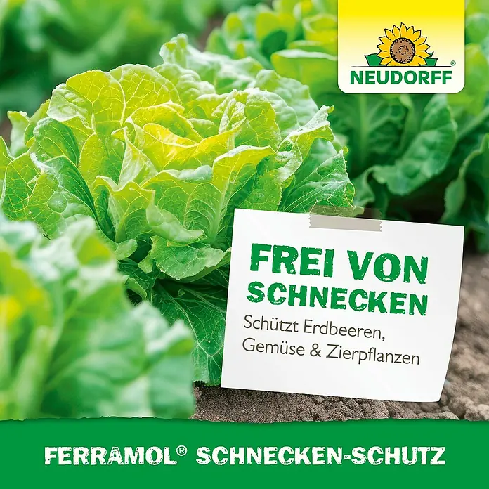Neudorff Ferramol Schneckenband - 8 m - Neudorff Ferramol Schnecken-Schutz: Schützt Erdbeeren, Gemüse und Zierpflanzen vor Schneckenbefall. Zuverlässiger Schutz im Garten.