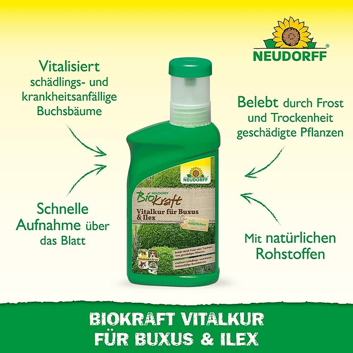 Neudorff BioKraft Vitalkur Für Buxus & Ilex (300 ml)