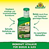 Neudorff BioKraft Vitalkur Für Buxus & Ilex (300 ml)