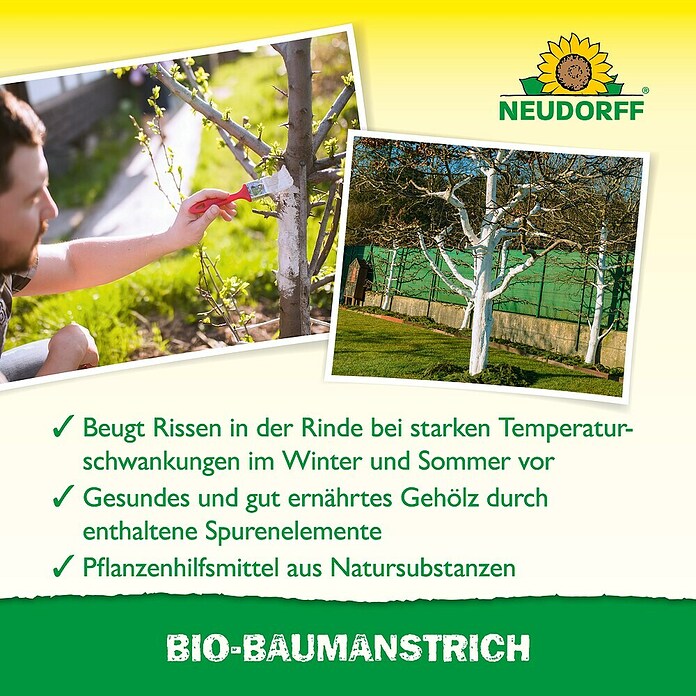 Neudorff