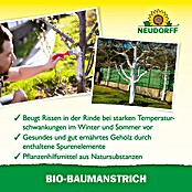 Neudorff
