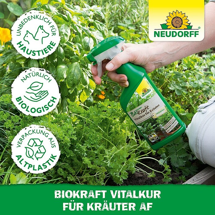 Neudorff BioKraft Vitalkur AF für Kräuter (500 ml)