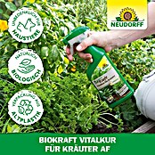 Neudorff BioKraft Vitalkur AF für Kräuter (500 ml)