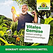 Neudorff BioKraft Gemüse-Streumittel (500 g)