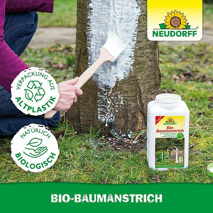 Neudorff