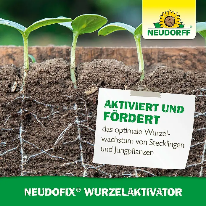 Neudorff Wurzelaktivator Neudofix - 20 g - Nahaufnahme von Neudofix Wurzelaktivator, der das Wurzelwachstum junger Pflanzen fördert.