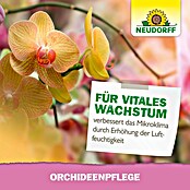 Neudorff Blattpflege Orchideen (250 ml) | BAUHAUS
