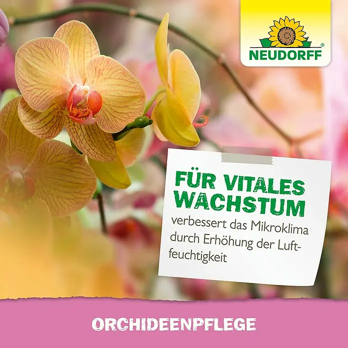 Neudorff Blattpflege Orchideen - 250 ml - Neudorff Orchideenpflege fördert vitales Wachstum, verbessert Mikroklima durch erhöhte Luftfeuchtigkeit, dargestellt mit gelben Orchideen.