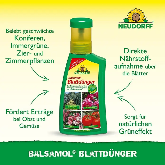 Neudorff Universaldünger Balsamol Blattdünger - 250 ml - Grüne Neudorff Balsamol Blattdünger Flasche, hebt Vorteile für Pflanzen, direkte Nährstoffaufnahme und natürlichen Grüneffekt hervor.
