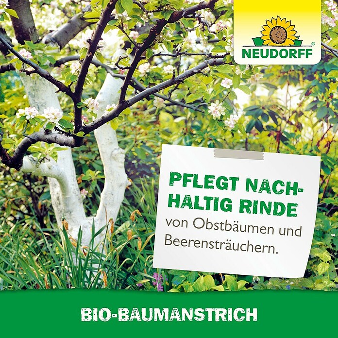 Neudorff