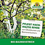 Neudorff