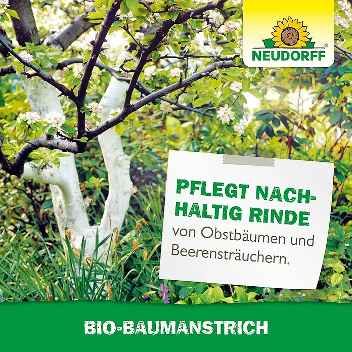 Neudorff Pflanzenhilfsmittel Bio Baumanstrich - 2 l - Baumanstrich: Pflegt nachhaltig Rinde von Obstbäumen und Beerensträuchern. Schützt die Bäume vor Schädlingen und Umwelteinflüssen.