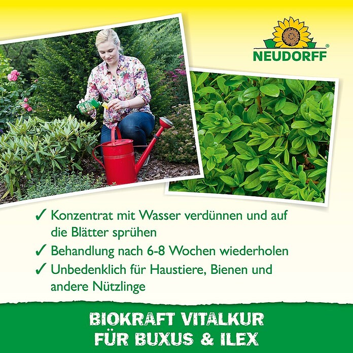Neudorff BioKraft Vitalkur Für Buxus & Ilex (300 ml)