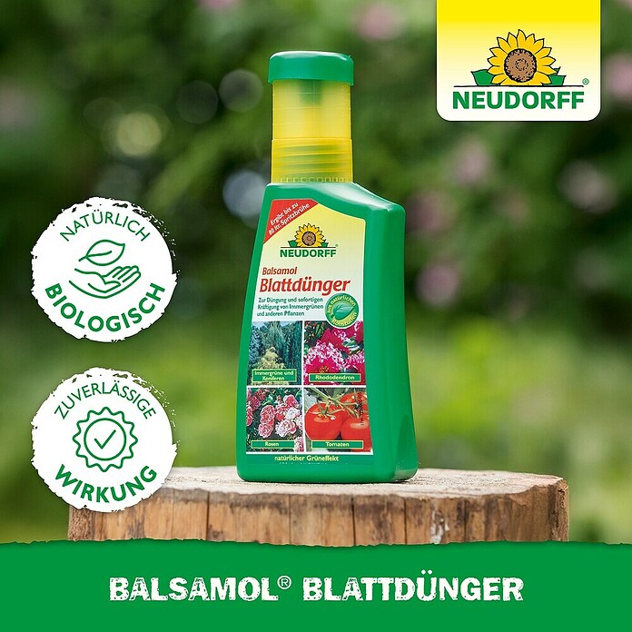 Neudorff Flüssigdünger Balsamol Blattdünger (250 ml) | BAUHAUS