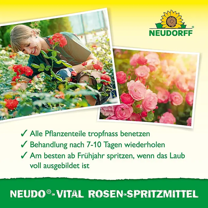 Neudorff Neudo-Vital Rosenspritzmittel - 250 ml - Werbeanzeige für NEUDORFF®-VITAL ROSEN-SPRITZMITTEL, das Rosen vor Schädlingsbefall schützt und für gesunde, blühende Pflanzen sorgt.