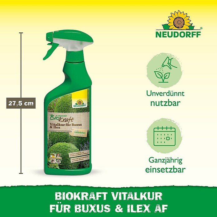 Neudorff BioKraft Vitalkur AF für Buxus & Ilex (500 ml)