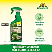 Neudorff BioKraft Vitalkur AF für Buxus & Ilex (500 ml)