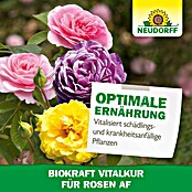 Neudorff BioKraft Vitalkur AF für Rosen (500 ml)
