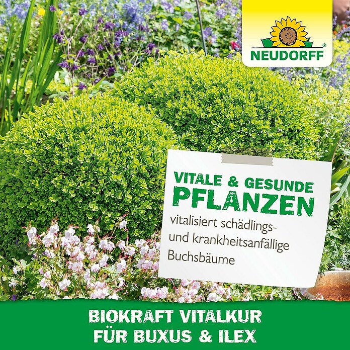 Neudorff BioKraft Vitalkur Für Buxus & Ilex (300 ml)