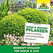 Neudorff BioKraft Vitalkur Für Buxus & Ilex (300 ml)