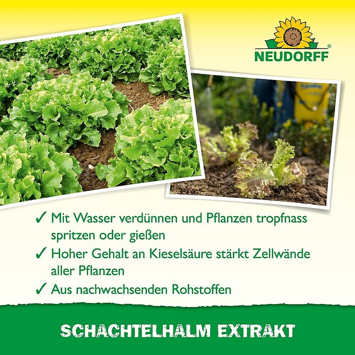 Neudorff Pflanzenstärkungsmittel Schachtelhalm Extrakt (270 g) | BAUHAUS