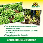 Neudorff Pflanzenstärkungsmittel Schachtelhalm Extrakt (270 g) | BAUHAUS