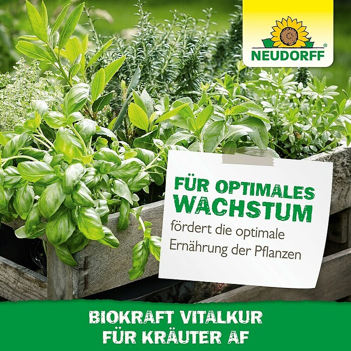 Neudorff BioKraft Vitalkur AF für Kräuter (500 ml)