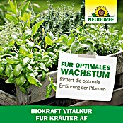Neudorff BioKraft Vitalkur AF für Kräuter (500 ml)