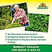 Neudorff BioKraft Vitalkur AF für Buxus & Ilex (500 ml)