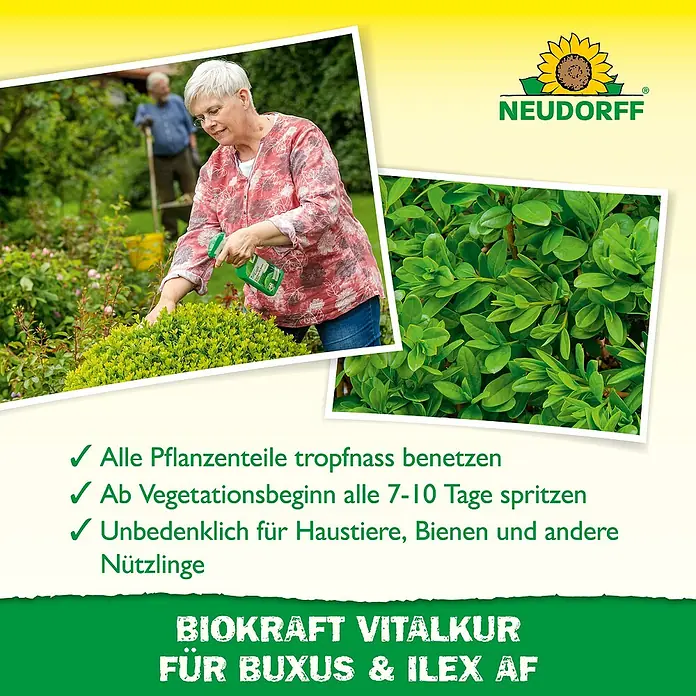 Neudorff BioKraft Vitalkur AF für Buxus & Ilex - 500 ml - Werbung für NEUDORFF BIOKRAFT VITALKUR FÜR BUXUS & ILEX AF, einem Produkt zur Stärkung und zum Schutz von Buchsbaum und Stechpalme.