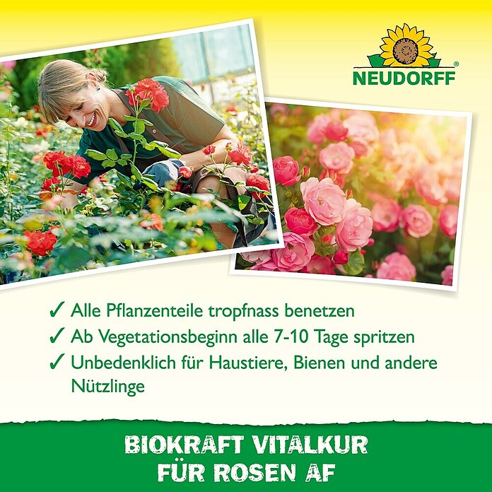 Neudorff BioKraft Vitalkur AF für Rosen (500 ml)