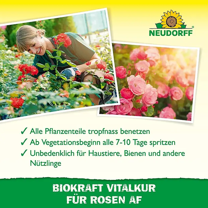 Neudorff BioKraft Vitalkur Für Rosen - 300 ml - Werbung für Neudorff Biokraft Vitalkur für Rosen AF, mit Tipps zur Anwendung und Hervorhebung der Umweltfreundlichkeit.