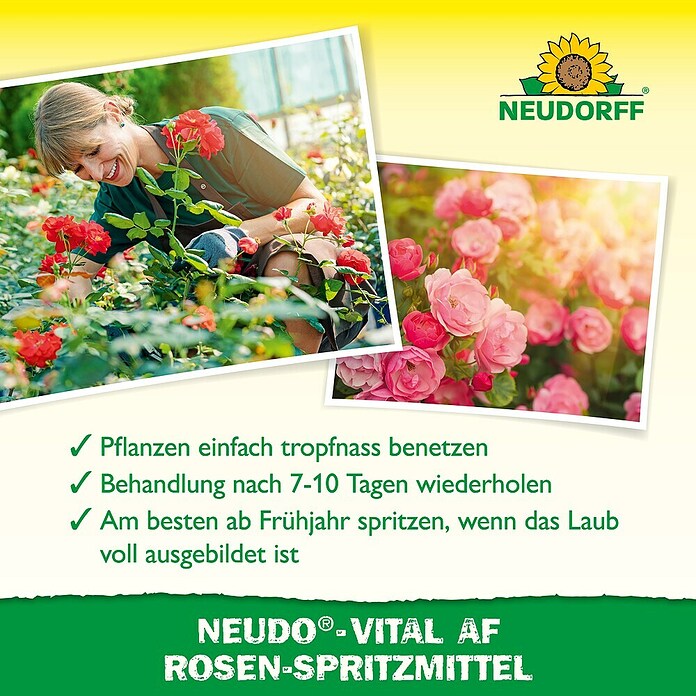Neudorff Neudo-Vital Rosenspritzmittel AF (500 ml) | BAUHAUS