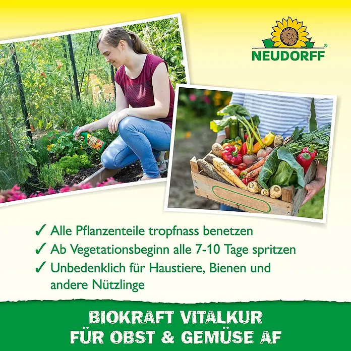 Neudorff BioKraft Vitalkur AF für Obst & Gemüse - 500 ml - Neudorff Biokraft Vitalkur für Obst & Gemüse AF: Spritzen Sie Ihre Pflanzen tropfnass mit diesem Produkt für eine optimale Vitalität.
