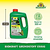 Neudorff BioKraft Grundstoff Essig (3 l, 500 m²) | BAUHAUS