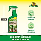 Neudorff BioKraft Vitalkur AF für Kräuter (500 ml)