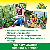 Neudorff BioKraft Vitalkur für Obst & Gemüse (300 ml)