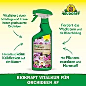 Neudorff BioKraft Vitalkur AF für Orchideen (500 ml)