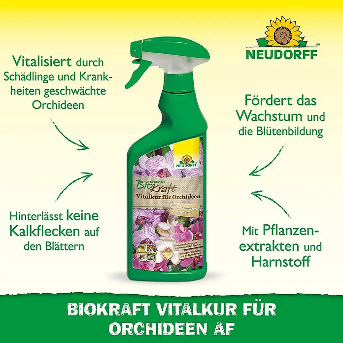 Neudorff BioKraft Vitalkur AF für Orchideen - 500 ml - Neudorff Biokraft Vitalkur für Orchideen. Stärkt durch Schädlinge und Krankheiten geschwächte Orchideen, fördert Wachstum und Blütenbildung.