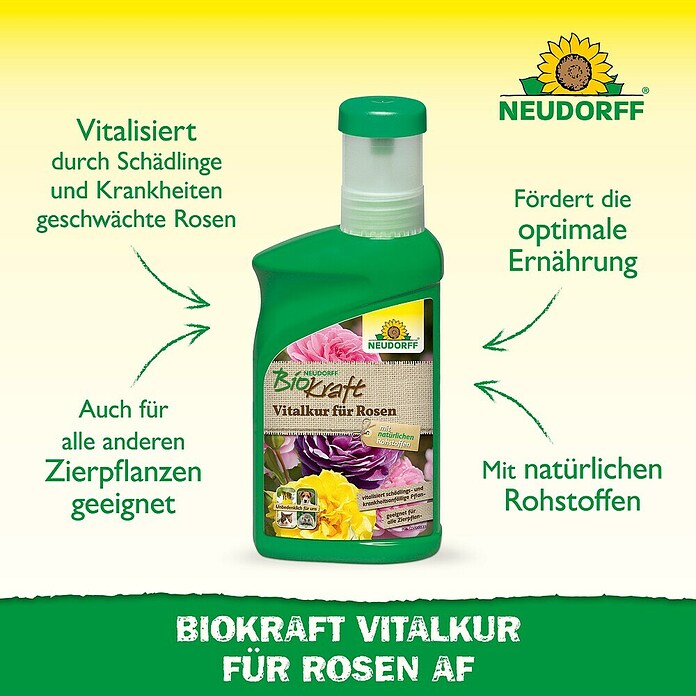Neudorff BioKraft Vitalkur Für Rosen (300 ml)