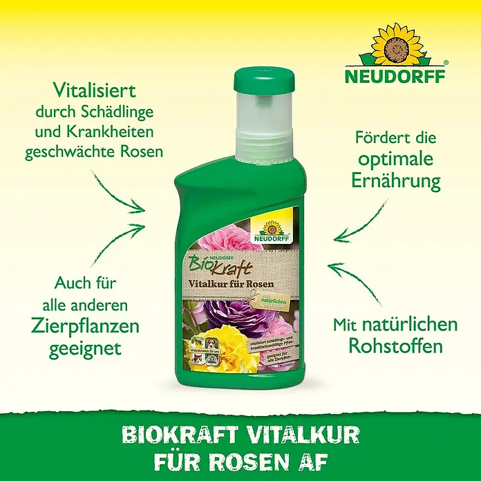 Neudorff BioKraft Vitalkur Für Rosen - 300 ml - Abbildung einer Flasche Neudorff Biokraft Vitalkur für Rosen AF, einem Dünger zur Stärkung von Rosen.