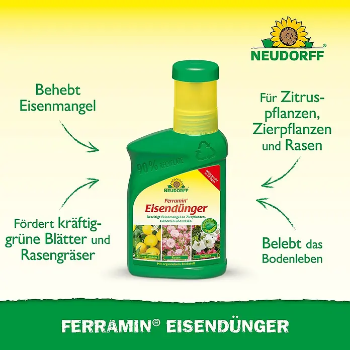 Neudorff Eisendünger Ferramin - 318 g, 250 ml - Die Flasche Ferramin Eisendünger von Neudorff behebt Eisenmangel, fördert grüne Blätter und belebt das Bodenleben.