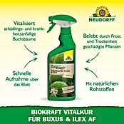 Neudorff BioKraft Vitalkur AF für Buxus & Ilex (500 ml)