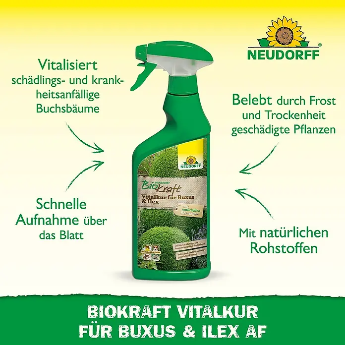 Neudorff BioKraft Vitalkur AF für Buxus & Ilex - 500 ml - Produktbild von Neudorff Biokraft Vitalkur für Buxus & Ilex AF zur Vitalisierung und Stärkung von Buchsbäumen und Ilexpflanzen.