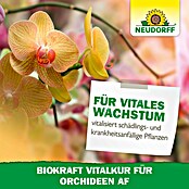 Neudorff BioKraft Vitalkur AF für Orchideen (500 ml)