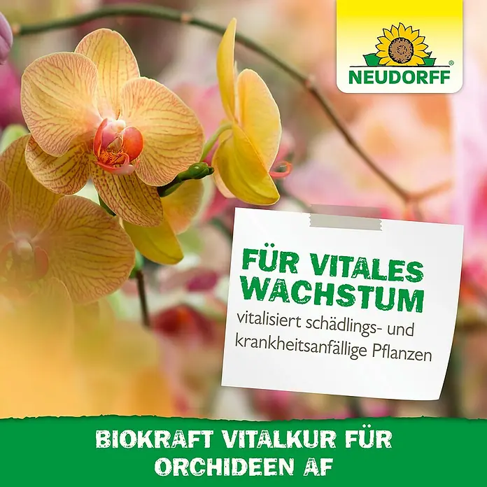 Neudorff BioKraft Vitalkur AF für Orchideen - 500 ml - NEUDORFF Biokraft Vitalkur für Orchideen AF sorgt für vitales Wachstum und stärkt schädlings- und krankheitsanfällige Pflanzen.