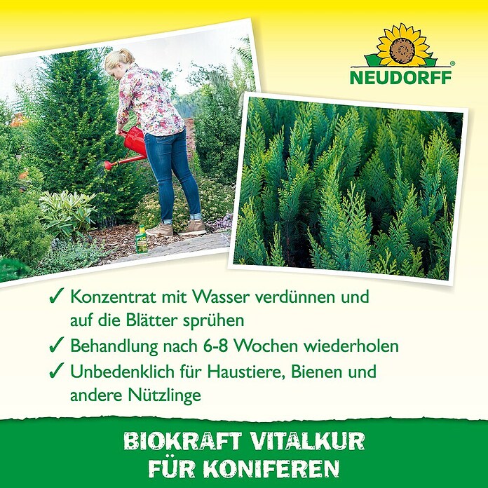Neudorff BioKraft Vitalkur Für Koniferen (300 ml)