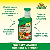 Neudorff BioKraft Vitalkur für Obst & Gemüse (300 ml)